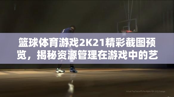 篮球体育游戏2K21精彩截图预览，揭秘资源管理在游戏中的艺术展现