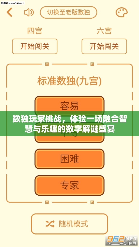 数独玩家挑战，体验一场融合智慧与乐趣的数字解谜盛宴