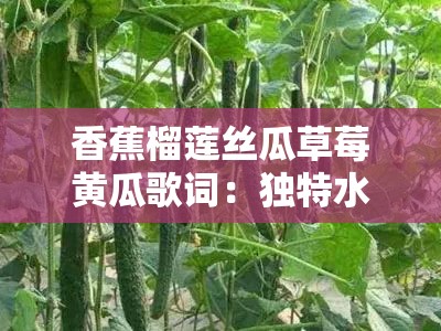 香蕉榴莲丝瓜草莓黄瓜歌词：独特水果与蔬菜的奇妙乐章