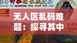 无人区乱码难题：探寻其中的神秘与困惑