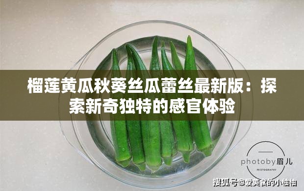 榴莲黄瓜秋葵丝瓜蕾丝最新版：探索新奇独特的感官体验