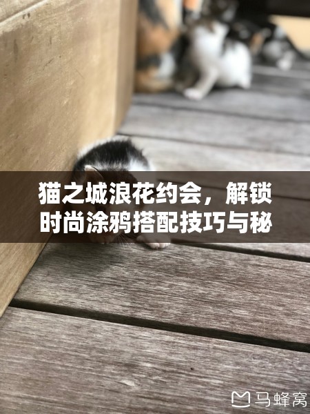 猫之城浪花约会，解锁时尚涂鸦搭配技巧与秘籍指南