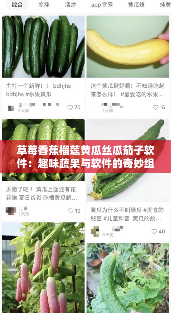 草莓香蕉榴莲黄瓜丝瓜茄子软件：趣味蔬果与软件的奇妙组合