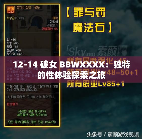 12-14 破女 BBWXXXX：独特的性体验探索之旅