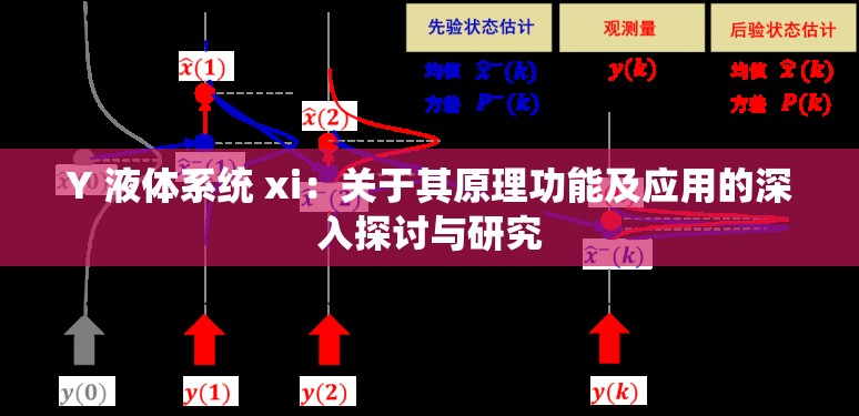 Y 液体系统 xi：关于其原理功能及应用的深入探讨与研究