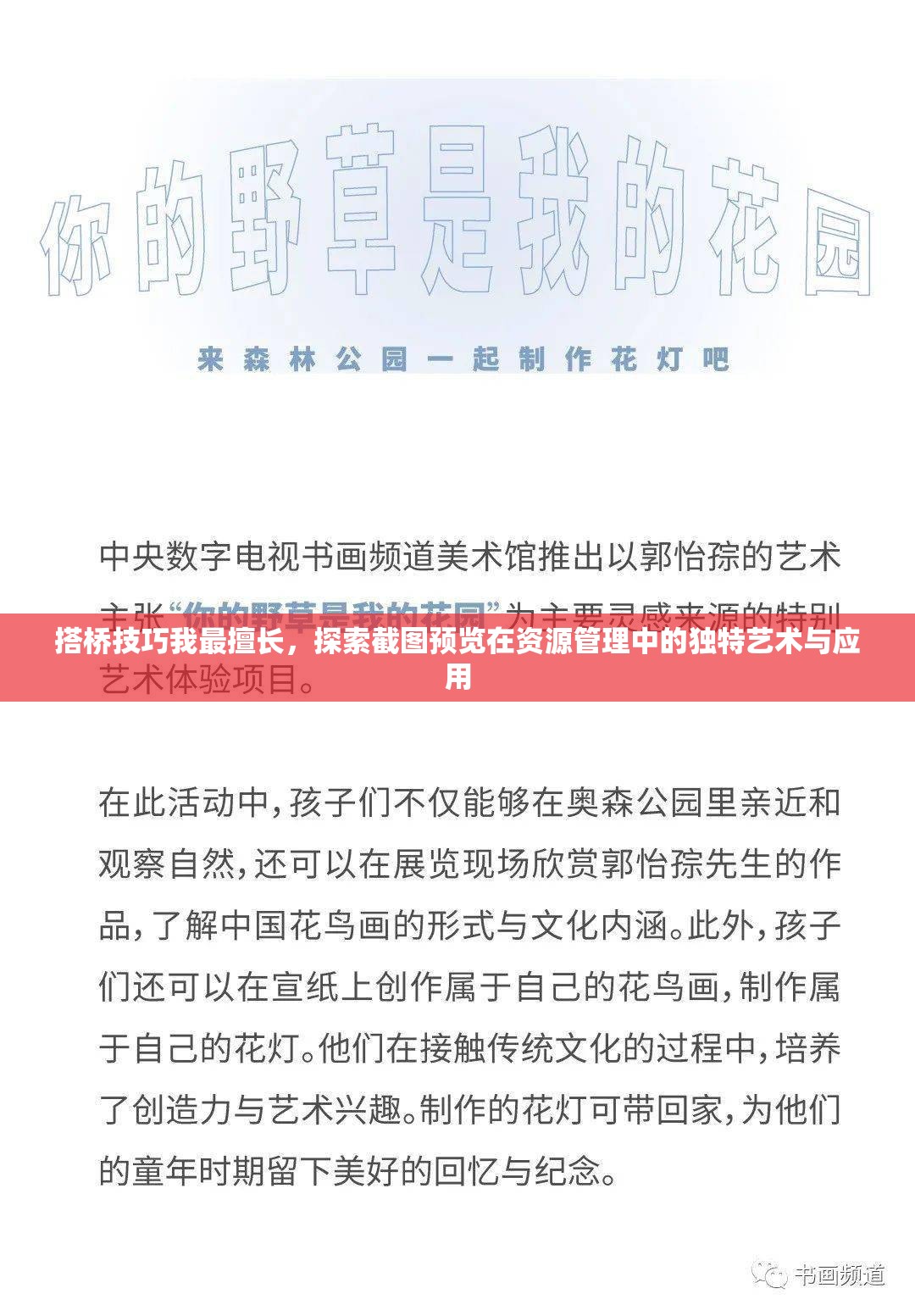 搭桥技巧我最擅长，探索截图预览在资源管理中的独特艺术与应用