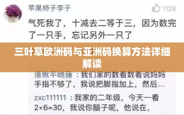 三叶草欧洲码与亚洲码换算方法详细解读