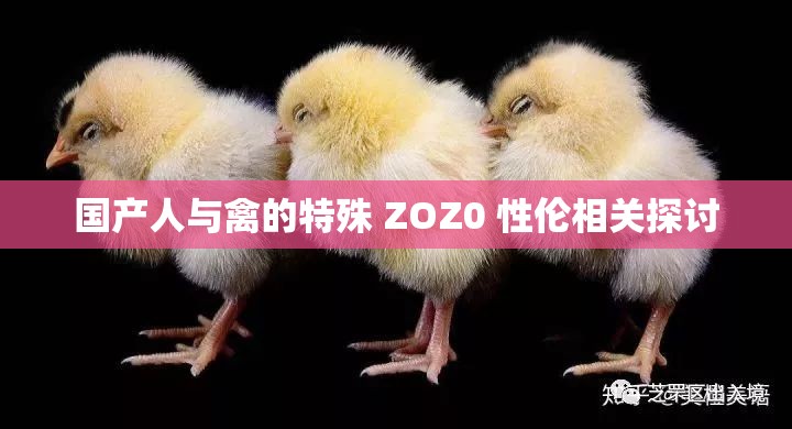 国产人与禽的特殊 ZOZ0 性伦相关探讨