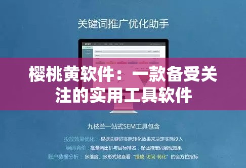 樱桃黄软件：一款备受关注的实用工具软件