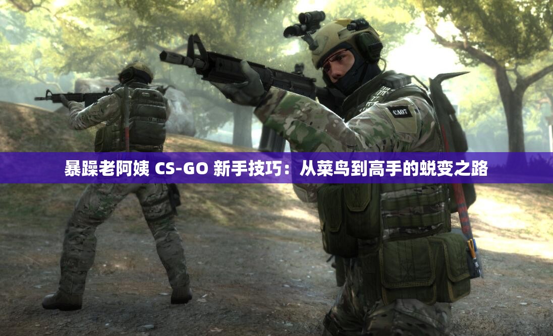 暴躁老阿姨 CS-GO 新手技巧：从菜鸟到高手的蜕变之路