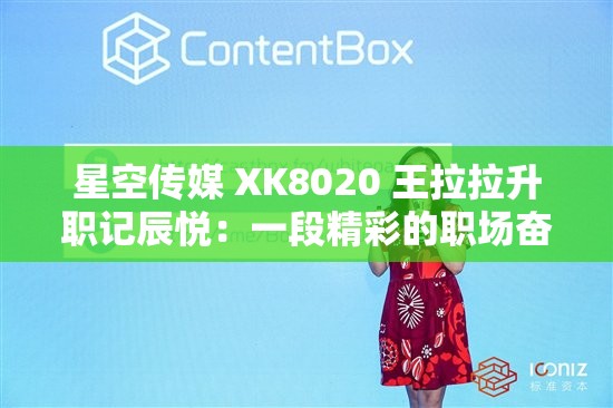 星空传媒 XK8020 王拉拉升职记辰悦：一段精彩的职场奋斗历程