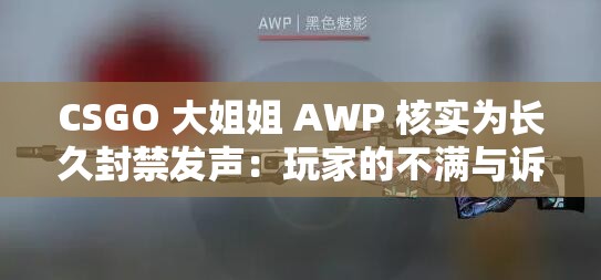 CSGO 大姐姐 AWP 核实为长久封禁发声：玩家的不满与诉求