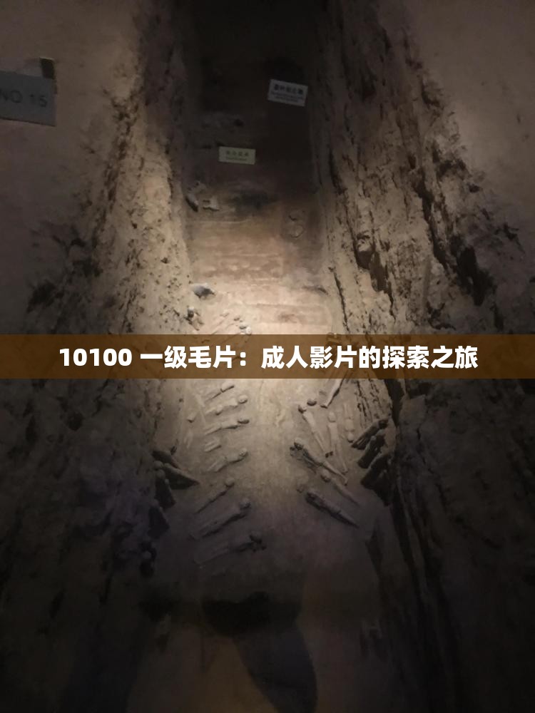 10100 一级毛片：成人影片的探索之旅