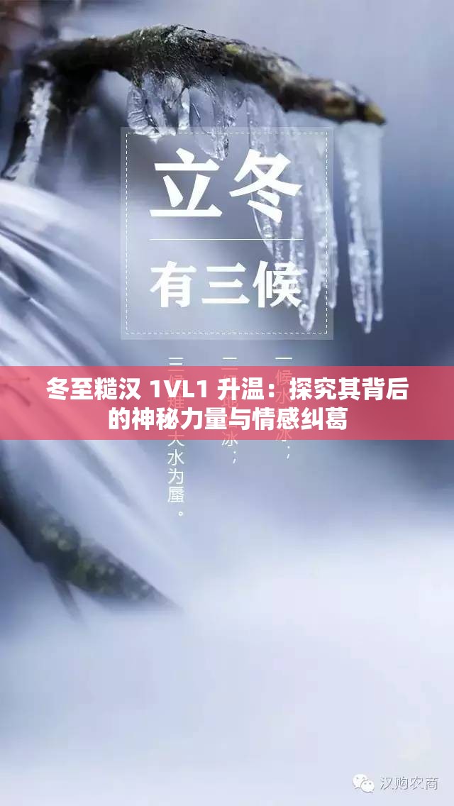 冬至糙汉 1VL1 升温：探究其背后的神秘力量与情感纠葛