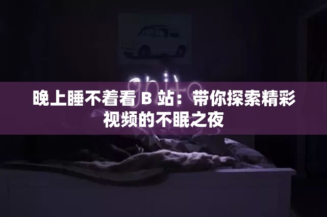 晚上睡不着看 B 站：带你探索精彩视频的不眠之夜