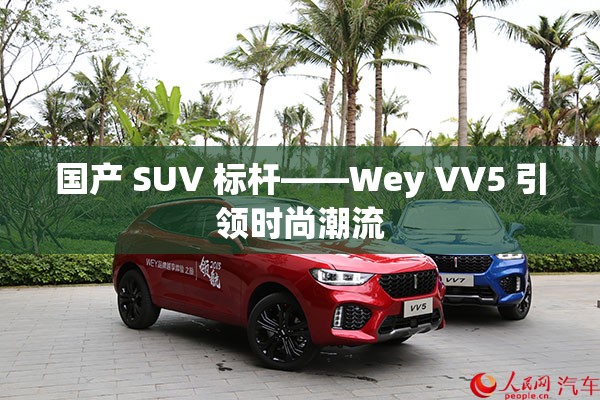 国产 SUV 标杆——Wey VV5 引领时尚潮流