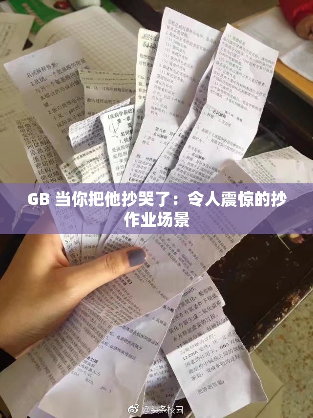 GB 当你把他抄哭了：令人震惊的抄作业场景