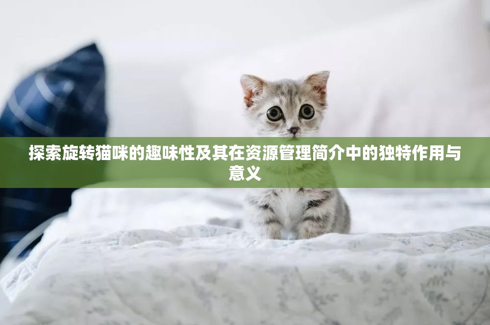 探索旋转猫咪的趣味性及其在资源管理简介中的独特作用与意义