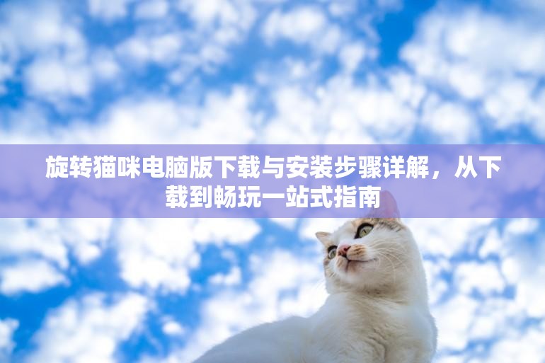 旋转猫咪电脑版下载与安装步骤详解，从下载到畅玩一站式指南