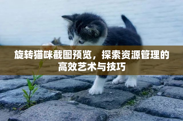 旋转猫咪截图预览，探索资源管理的高效艺术与技巧