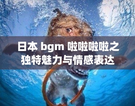 日本 bgm 啦啦啦啦之独特魅力与情感表达