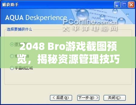 2048 Bro游戏截图预览，揭秘资源管理技巧，实现高效利用并避免资源浪费