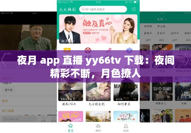 夜月 app 直播 yy66tv 下载：夜间精彩不断，月色撩人