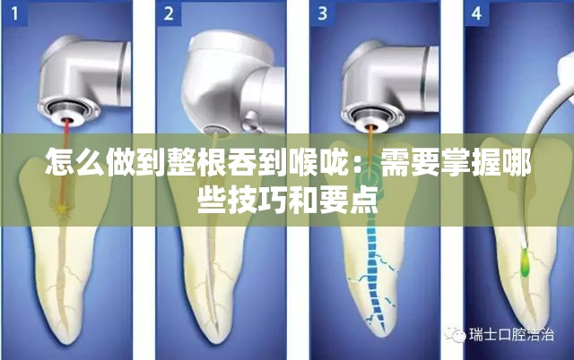 怎么做到整根吞到喉咙：需要掌握哪些技巧和要点