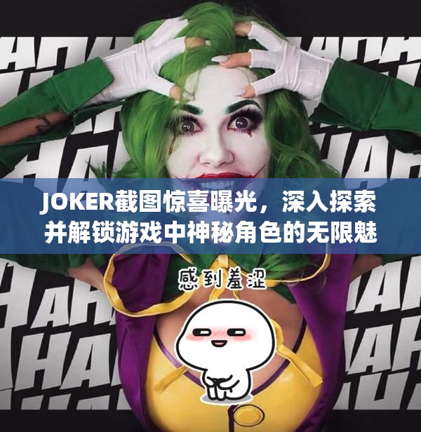 JOKER截图惊喜曝光，深入探索并解锁游戏中神秘角色的无限魅力与故事