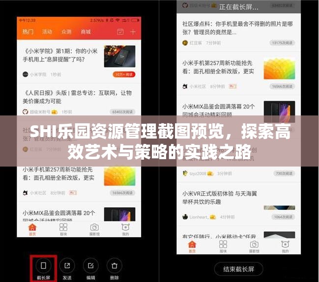 SHI乐园资源管理截图预览，探索高效艺术与策略的实践之路