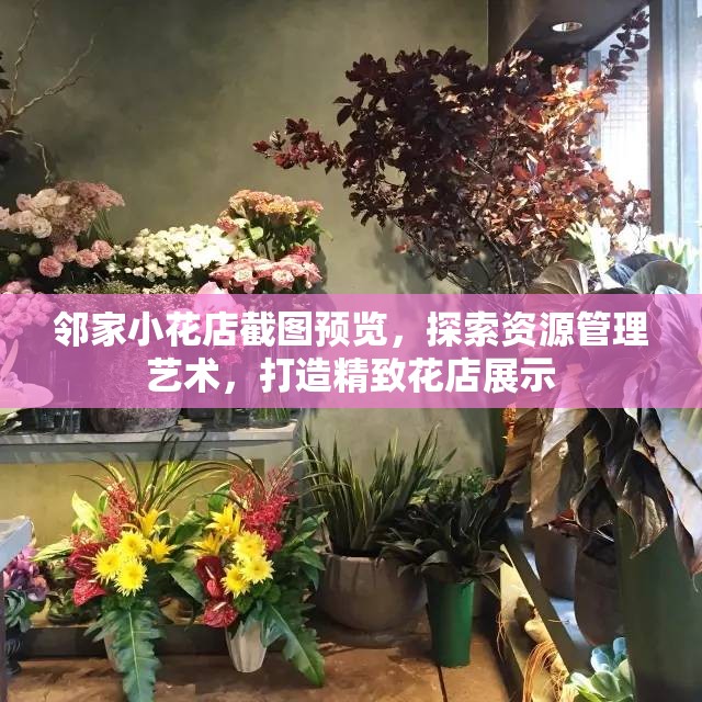 邻家小花店截图预览，探索资源管理艺术，打造精致花店展示