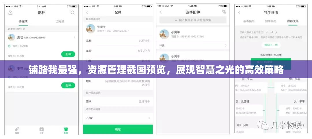 铺路我最强，资源管理截图预览，展现智慧之光的高效策略