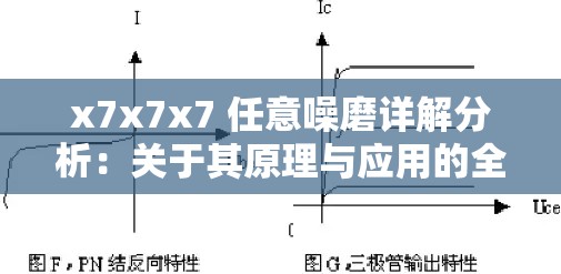 x7x7x7 任意噪磨详解分析：关于其原理与应用的全面探讨