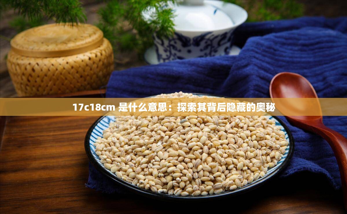 17c18cm 是什么意思：探索其背后隐藏的奥秘