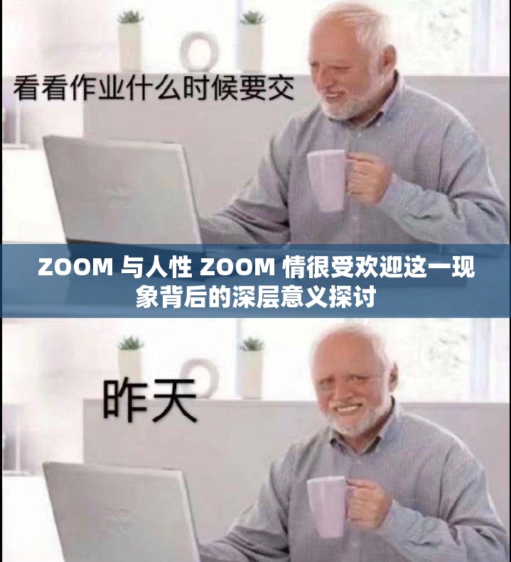 ZOOM 与人性 ZOOM 情很受欢迎这一现象背后的深层意义探讨