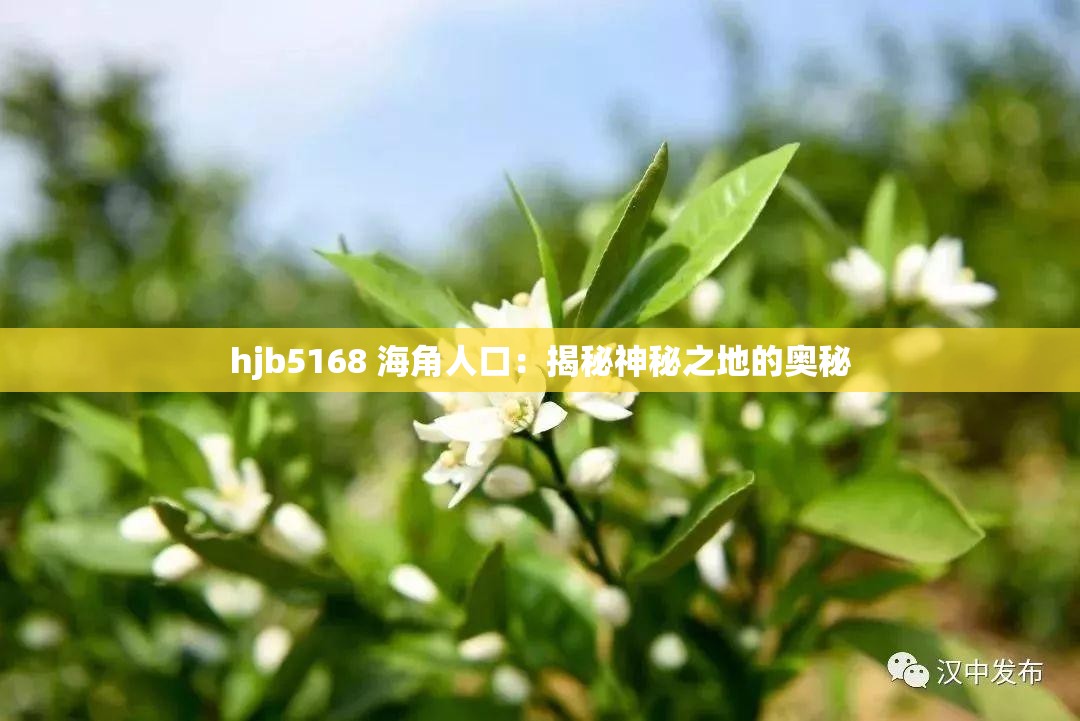 hjb5168 海角人口：揭秘神秘之地的奥秘