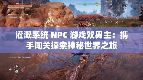 灌溉系统 NPC 游戏双男主：携手闯关探索神秘世界之旅