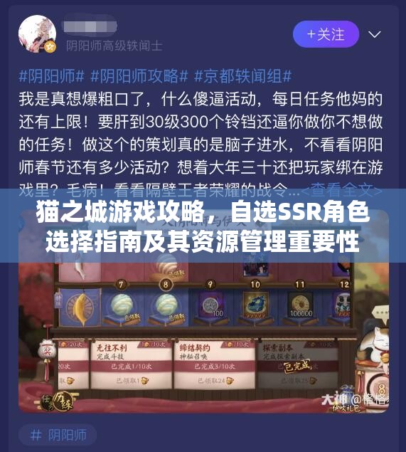 猫之城游戏攻略，自选SSR角色选择指南及其资源管理重要性与策略解析