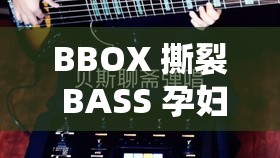 BBOX 撕裂 BASS 孕妇欢迎您：开启别样音乐之旅