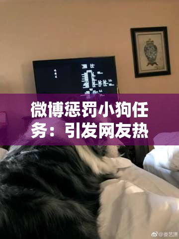 微博惩罚小狗任务：引发网友热议的宠物教育事件