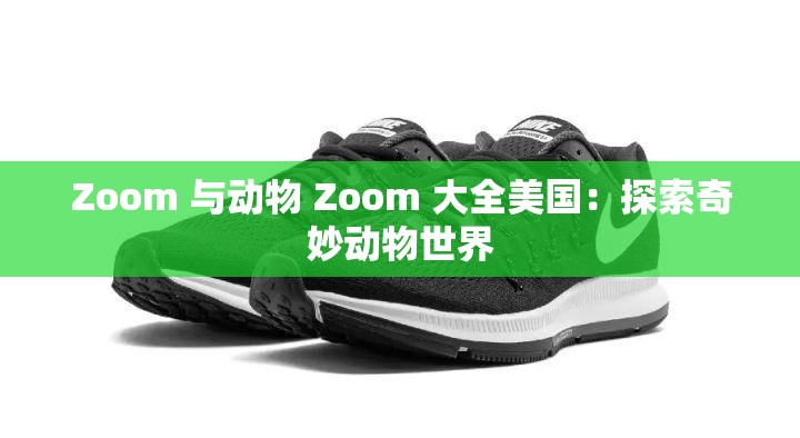 Zoom 与动物 Zoom 大全美国：探索奇妙动物世界