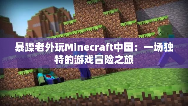 暴躁老外玩Minecraft中国：一场独特的游戏冒险之旅