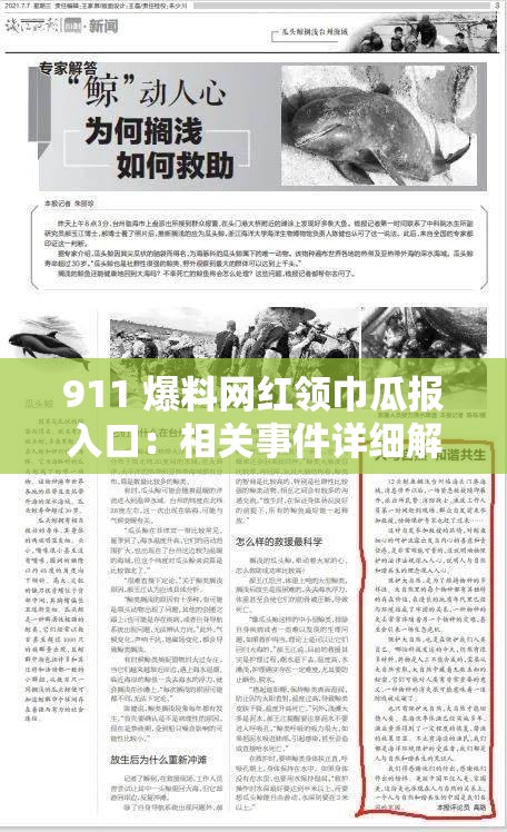 911 爆料网红领巾瓜报入口：相关事件详细解析及后续发展探讨