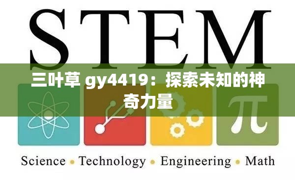 三叶草 gy4419：探索未知的神奇力量