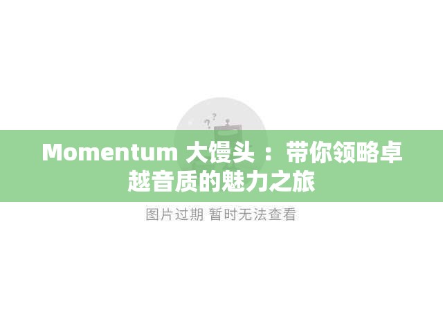 Momentum 大馒头 ：带你领略卓越音质的魅力之旅