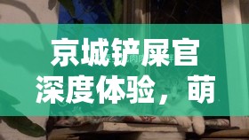 京城铲屎官深度体验，萌宠云养的无限乐趣与温情故事探索