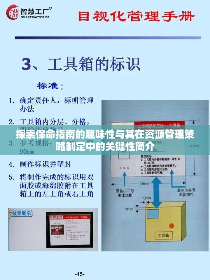 探索保命指南的趣味性与其在资源管理策略制定中的关键性简介