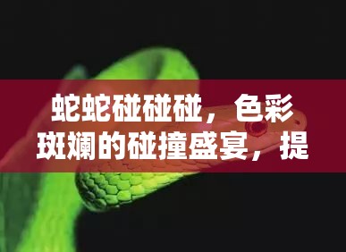 蛇蛇碰碰碰，色彩斑斓的碰撞盛宴，提前预览精彩对决瞬间