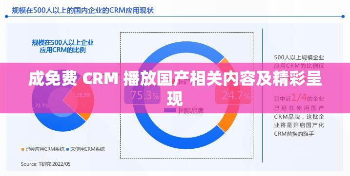 成免费 CRM 播放国产相关内容及精彩呈现