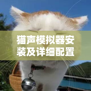 猫声模拟器安装及详细配置指南，轻松让你的爱宠萌音响彻云霄的秘诀